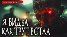 Общество чистых тарелок