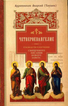 Руководство к изучению Священного Писания Нового Завета. Четвероевангелие