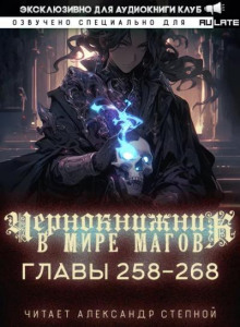 Чернокнижник в мире Магов 13