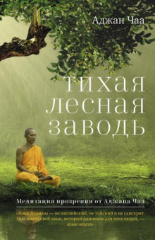 Тихая лесная заводь