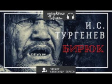 Бирюк