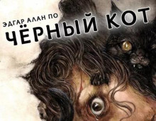 Чёрный кот