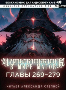 Чернокнижник в мире Магов 14