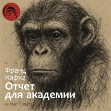 Отчёт для академии