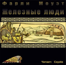 Железные люди