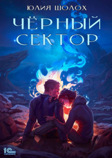 Чёрный сектор