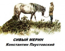 Сивый мерин