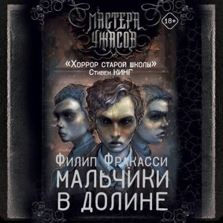 Мальчики в долине