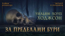 За пределами бури