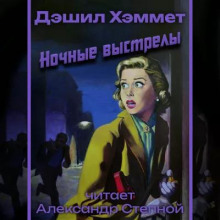 Ночные выстрелы