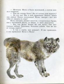 Маленькие рассказы про животных