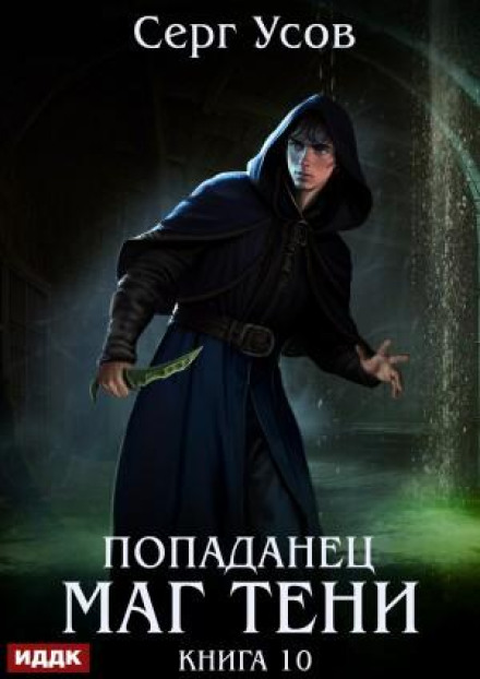 Попаданец. Маг Тени. Книга 10