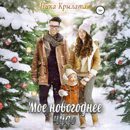 Мое новогоднее чудо