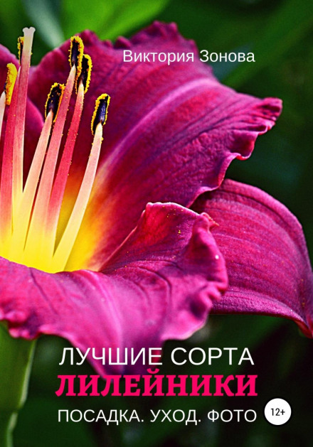 Daylilies. The Best Varieties